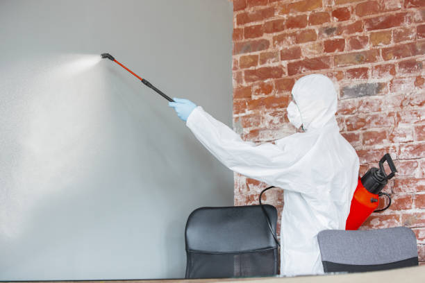 Best Biohazard Mold Removal  in Davenport, WA