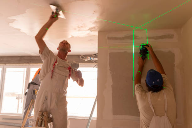 Best Black Mold Removal  in Davenport, WA